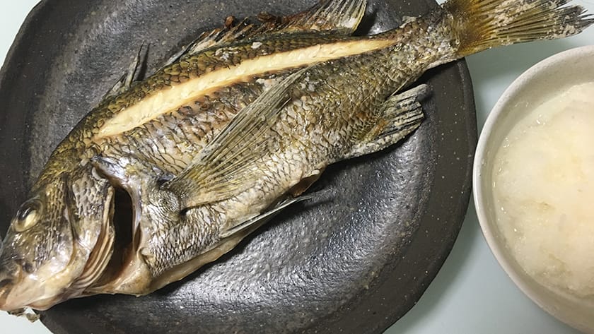 チヌ(クロダイ)の塩焼き|釣果メシ