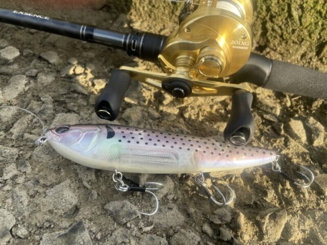 22カルカッタコンクエスト201xg インプレ！シーバスゲームなどソルトで