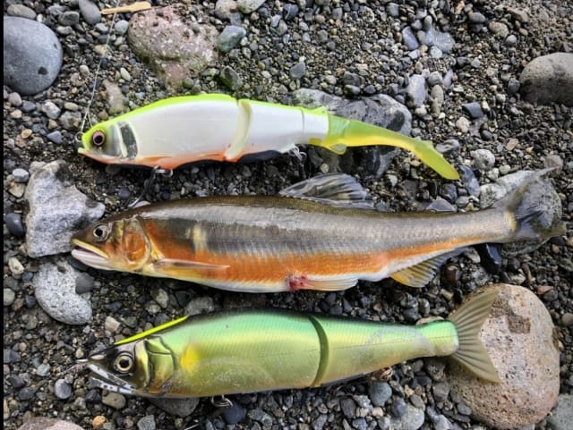 ルアーのサイズ|ブラックバス,シーバス,ルアーカラー,シルエット