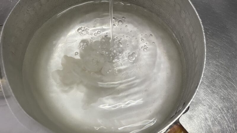 茹でる|シーバス(スズキ),浮袋,料理,レシピ,釣果メシ