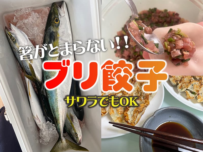 ブリ餃子(サワラ)餃子のつくり方｜釣果メシ