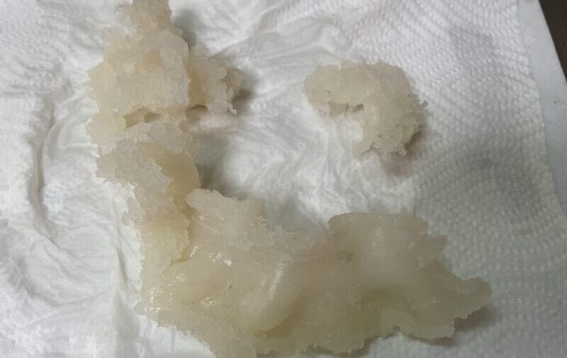 水気を切る|シーバス(スズキ),浮袋,料理,レシピ,釣果メシ