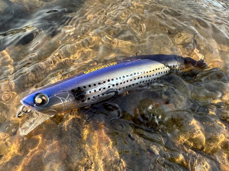 ガマダス135Fインプレ