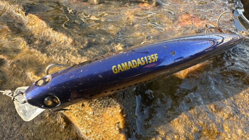 マルジンガマダス135F、インプレ