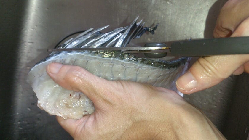 ヒレはハサミでカット