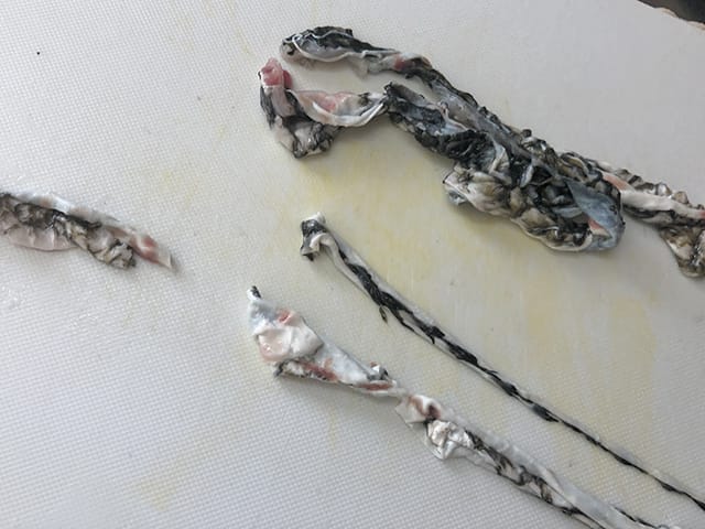 皮のヌメリ取り、皮のニラぽん|釣果メシ