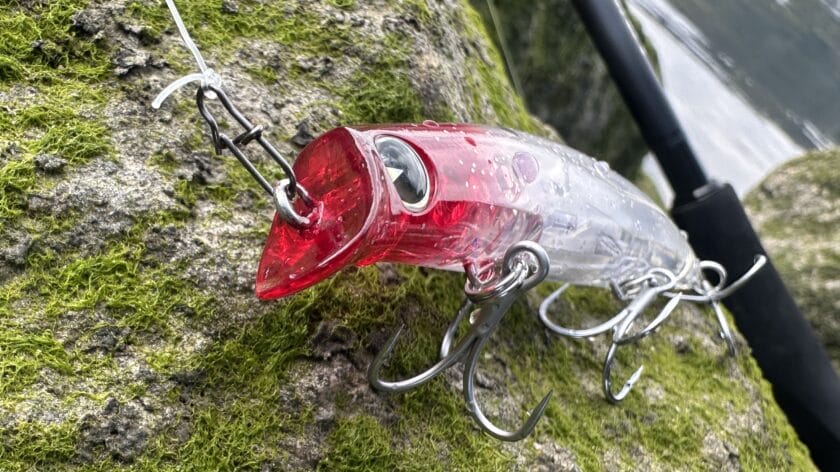 リップ|サスケ 120 裂波インプレ