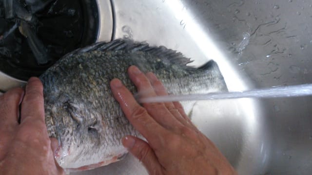 洗い流す、魚の皮目の臭みとり③｜磯の魚や淡水魚などの臭みとり