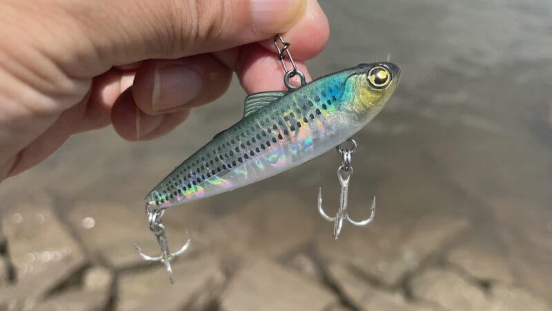 マルジンマーカレ65、インプレ