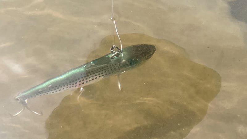 スライドアクション｜マルジンマーカレ65インプレ