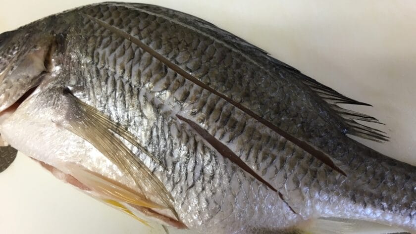 アクアパッツァ|丸の魚に切れ目を入れる