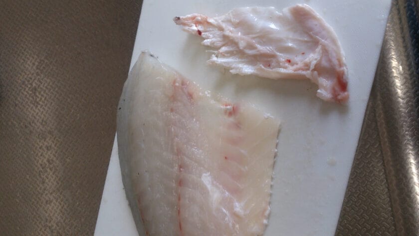 真鯛、チヌ、黒鯛、さばき方、腹骨をそぎ取る