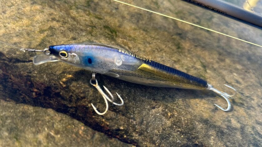 飛距離|サイレントアサシン99フラッシュブースト,インプレ