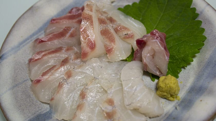 釣れたてチヌ(クロダイ)でつくる刺身|釣果メシ