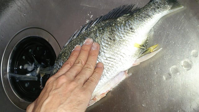 塩をすりこむ、魚の皮目の臭みとり②｜磯の魚や淡水魚などの臭みとり