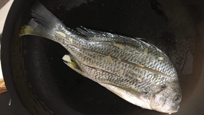 オリーブオイルで焼き目をつける|釣れた魚を丸ごとアクアパッツァ
