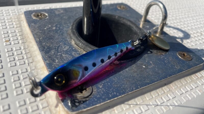 スイムアクション|ジャックアイTGスイム,インプレ