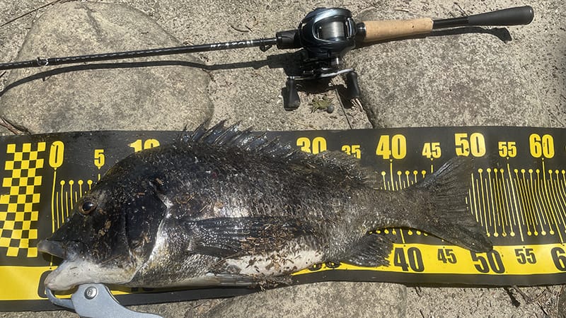 22アルデバランBFS、インプレ、釣果