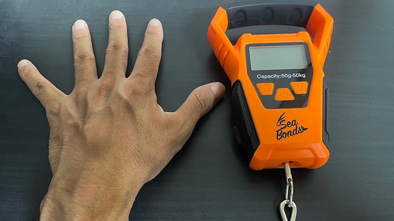 サイズ|SeaBondsフ防水ィッシングデジタルスケール、インプレ