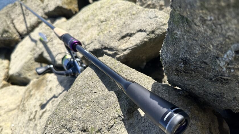 ブランクスとタイプ｜ブレニアスXR S810ML/M、インプレ