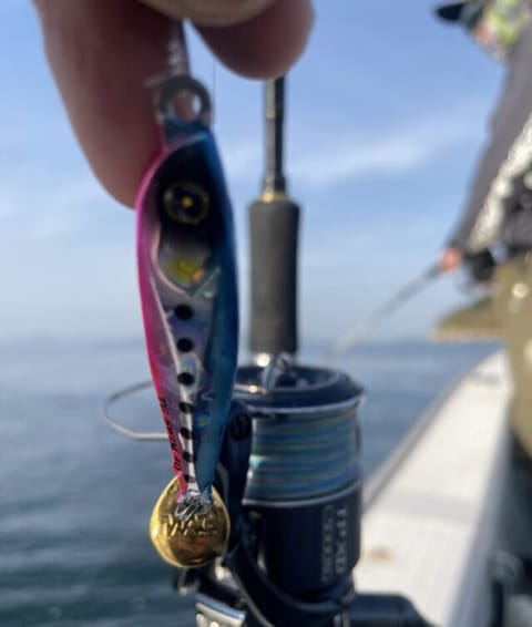 ブレードフック|ジャックアイTGスイム,インプレ