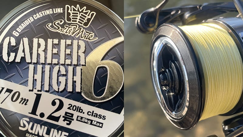 キャリアハイ6、インプレ