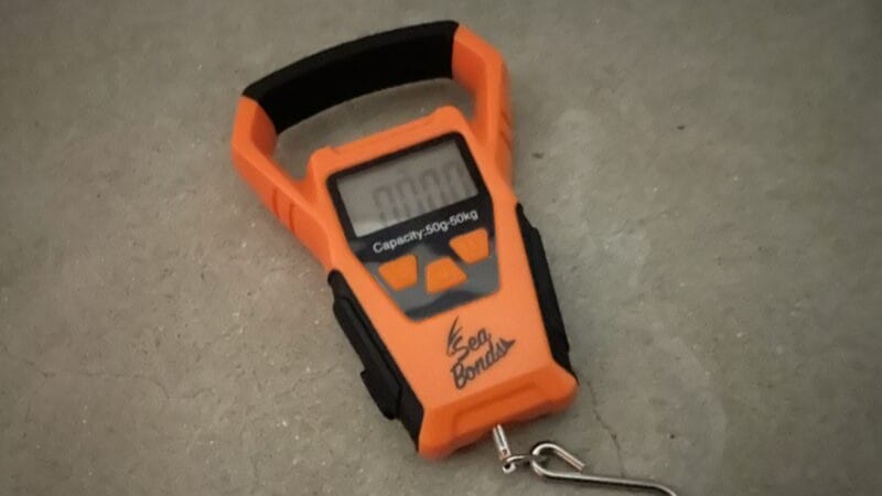 カラー|SeaBondsフ防水ィッシングデジタルスケール、インプレ