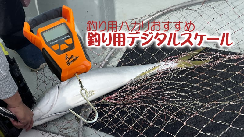 釣り用デジタルスケールおすすめ
