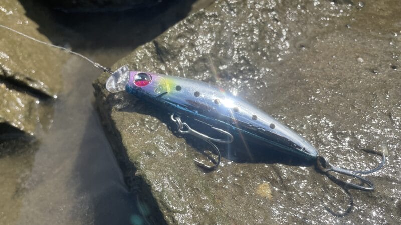 コスケ85F、インプレ