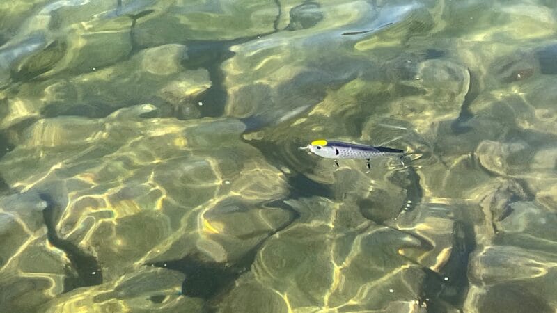 水切れのよさ|フルドラグX8、PE、インプレ