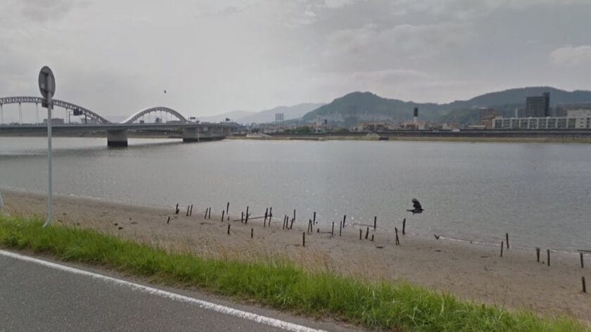 釣れる場所の違い|チヌ(クロダイ)とキビレの違い