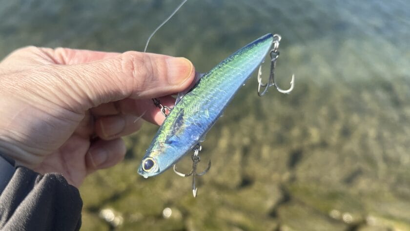 サルベージソリッド、インプレ