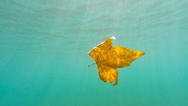 秋の天候状況｜シーバスが雨の日＆後に爆釣する理由