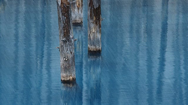 冬の雨｜シーバスが雨の日＆後に爆釣する理由