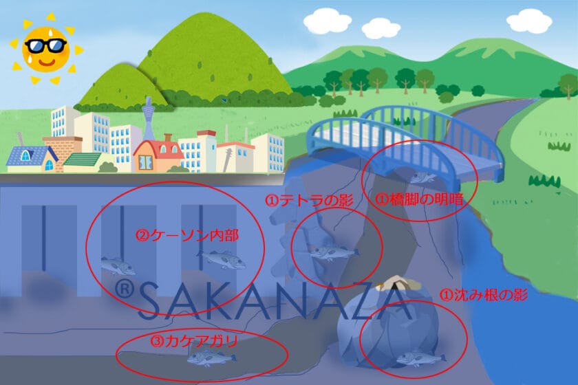 昼間、デイゲーム|シーバスのポイント