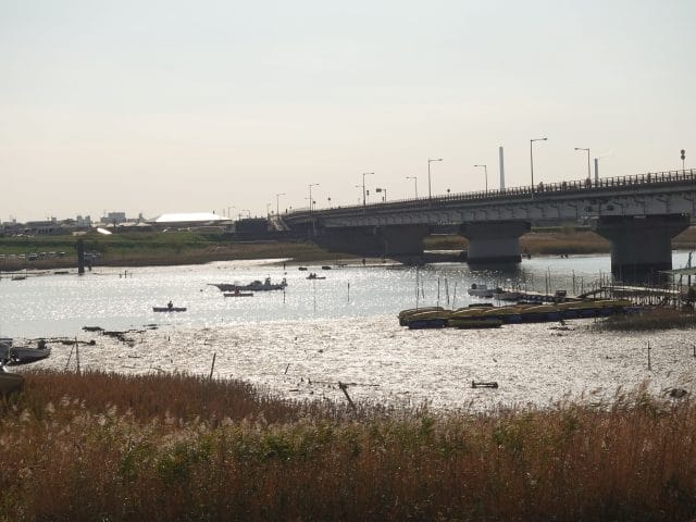 干潟｜チニングでシャッドが有効なポイント