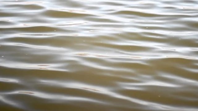 水が濁る｜シーバスが雨の日＆後に爆釣する理由