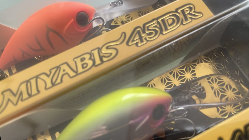 おすすめカラー｜ミヤビス 45DR ,インプレ