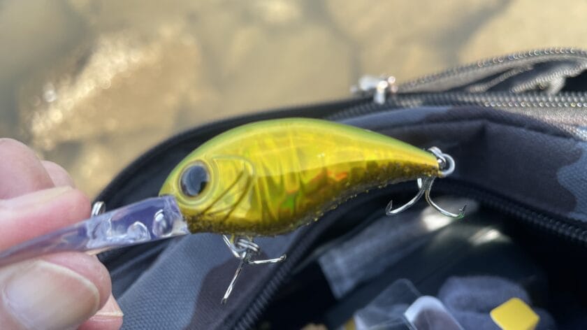 アクション｜ミヤビス 45DR ,インプレ