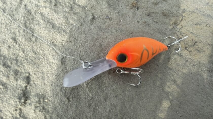 リングの結び方｜ミヤビス 45DR ,インプレ