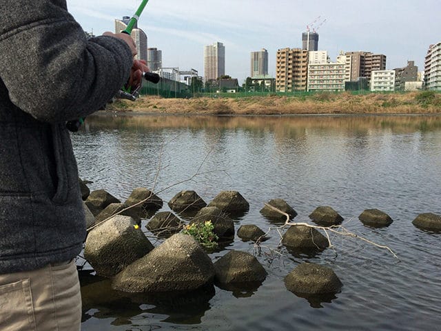 河川のシャロー｜チニングでシャッドが有効なポイント