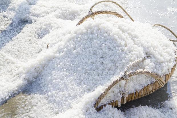 塩分濃度｜シーバスが雨の日＆後に爆釣する理由