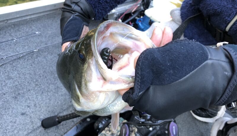 バス釣り、初心者、仕掛け