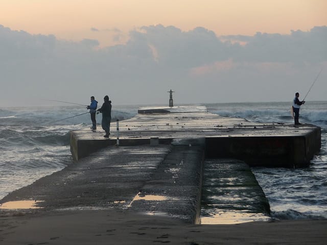 シーバス、堤防