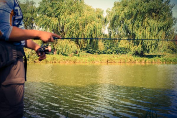 ルアーの向きとロッドを平行に｜ただ巻きの上達方法3つ