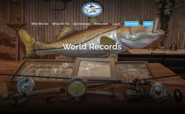 IGFAオフィシャルサイト