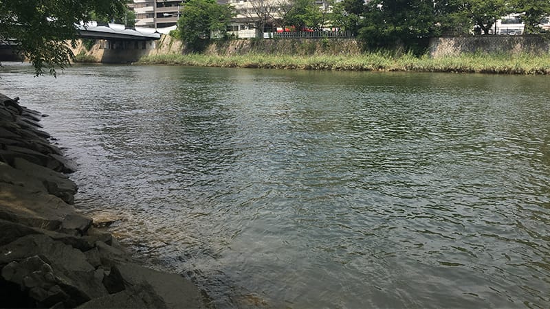 ポイント｜ライトブリームゲーム