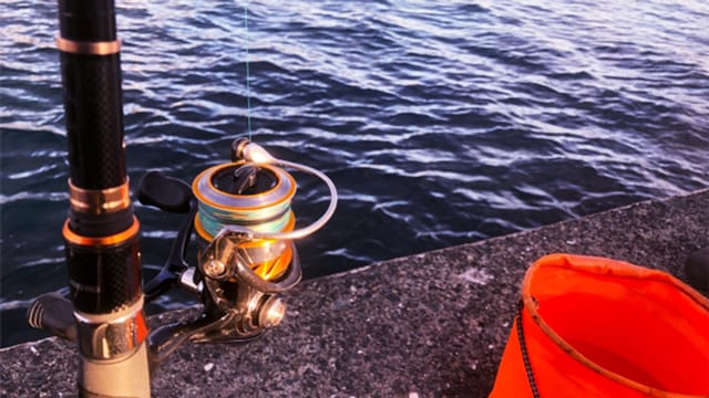 タックル｜春～初夏にタイラバよりも大きな真鯛を釣る方法