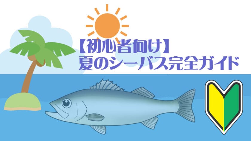 夏、シーバス、初心者、釣り方