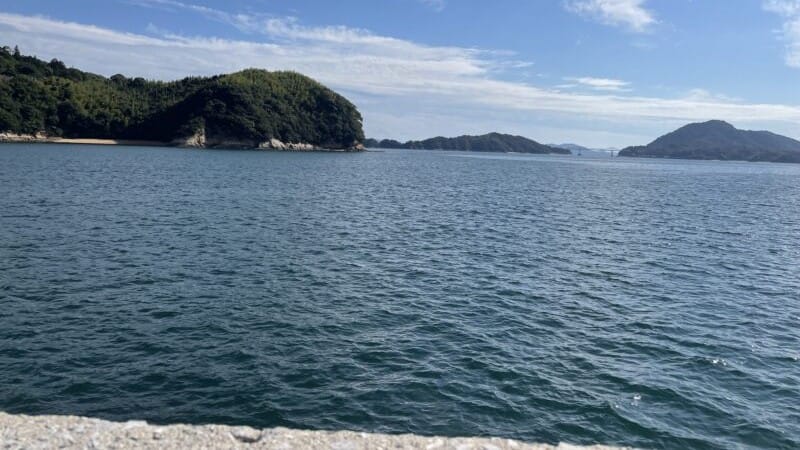 沖アジの表層狙い|フロートリグ、使い方